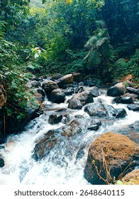 हिंदी साहित्य में नदी