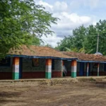 नैक का चक्कर (कहानी)