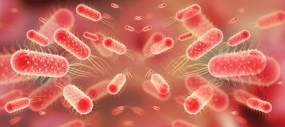 टाइफाइड: एक बढ़ता खतरा